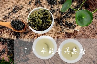 75年的普洱茶砖/2023041308481