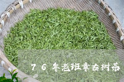 76年老班章古树茶/2023041509492