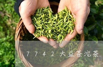 7742大益茶沱茶/2023032263745