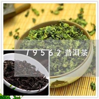 79562普洱茶/2023031729362