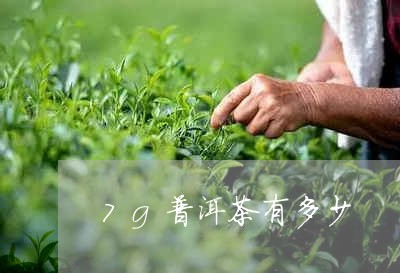 7g普洱茶有多少/2023033048291