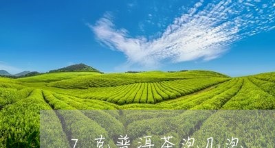 7克普洱茶泡几泡/2023033105392