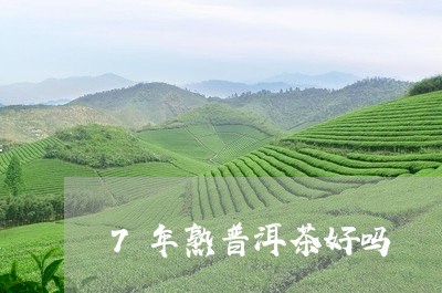 7年熟普洱茶好吗/2023040180480