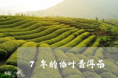 7年的傣叶普洱茶/2023033017453