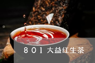 801大益红生茶/2023032596261