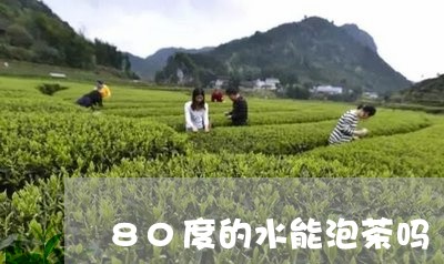 80度的水能泡茶吗/2023041618372