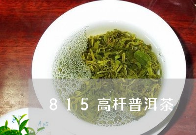 815高杆普洱茶/2023041180705