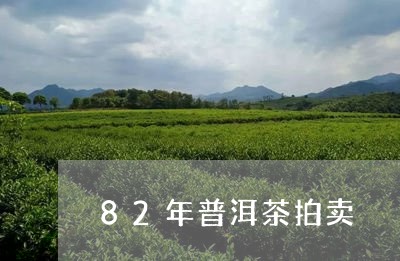 82年普洱茶拍卖/2023041020682