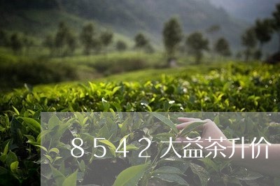 8542大益茶升价/2023032137513