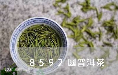 8592圆普洱茶/2023041152795