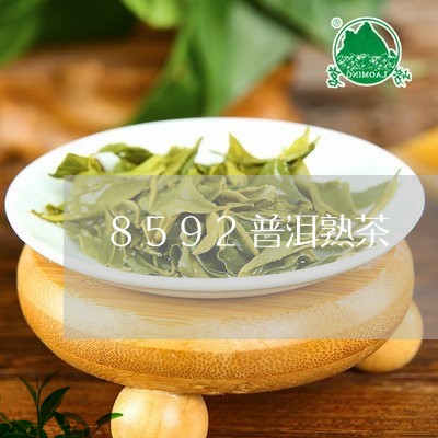 8592普洱熟茶/2023032925048