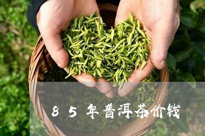 85年普洱茶价钱/2023041067303