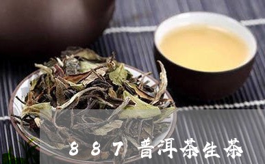 887普洱茶生茶/2023041030592