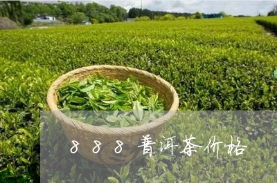 888普洱茶价格/2023031681716