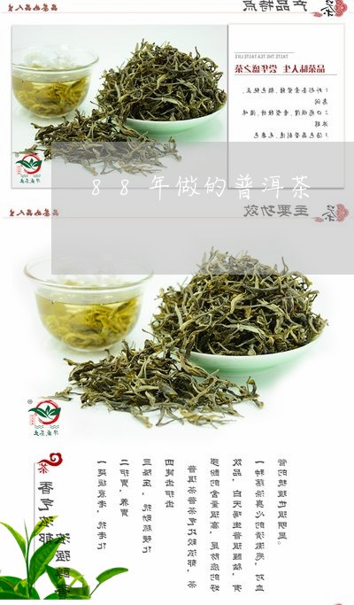 88年做的普洱茶/2023041299692