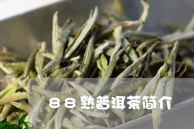 88熟普洱茶简介/2023031796949