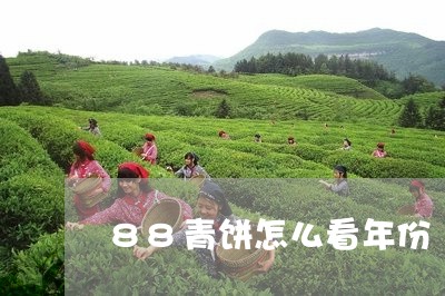 88青饼怎么看年份/2023032139482