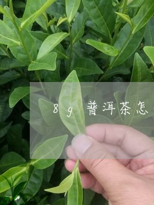 8g普洱茶怎么量/2023040150461