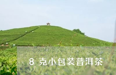 8克小包装普洱茶/2023033096270