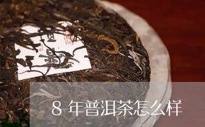 8年普洱茶怎么样/2023032907370