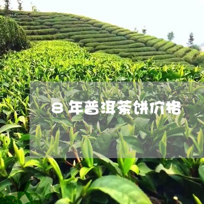 8年普洱茶饼价格/2023041312026