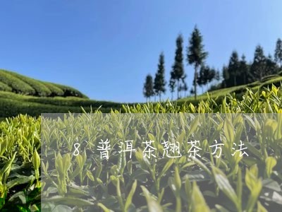 8普洱茶翘茶方法/2023031537461