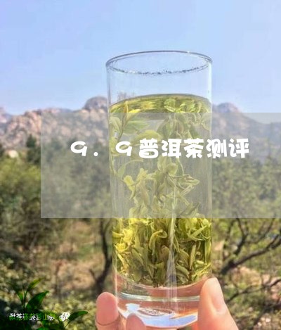 9.9普洱茶测评/2023041086058