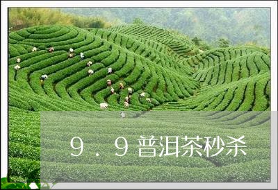 9.9普洱茶秒杀/2023041029494