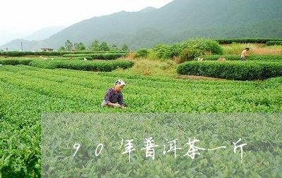 90年普洱茶一斤/2023033011816