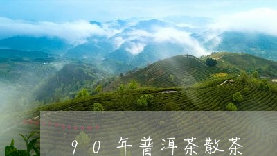 90年普洱茶散茶/2023041132714