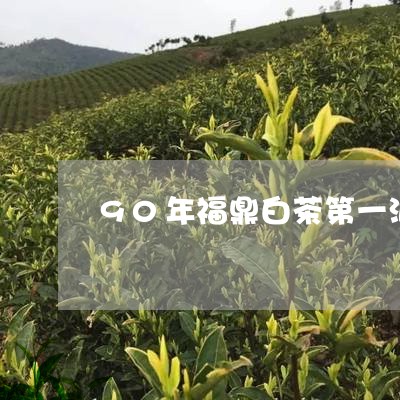 90年福鼎白茶第一泡要吗/2023033122728