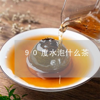 90度水泡什么茶/2023032353049