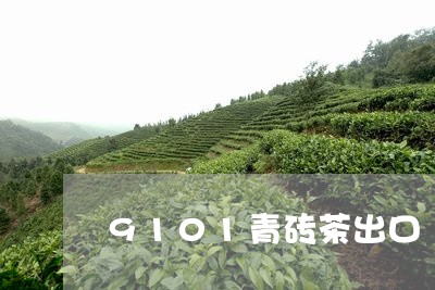 9101青砖茶出口/2023032093058