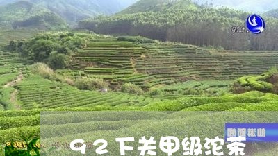 92下关甲级沱茶/2023032509272