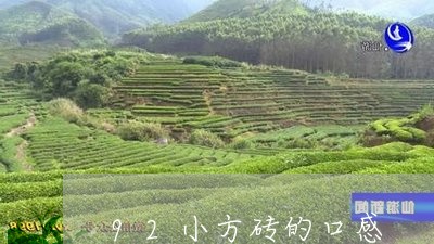 92小方砖的口感/2023032492615