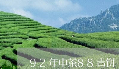 92年中茶88青饼/2023032172734