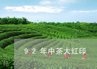 92年中茶大红印/2023032476050