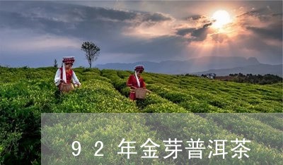 92年金芽普洱茶/2023033118261