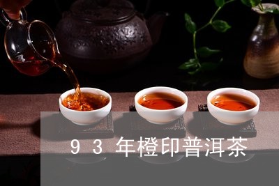 93年橙印普洱茶/2023041374838