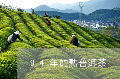 94年的熟普洱茶/2023040146248