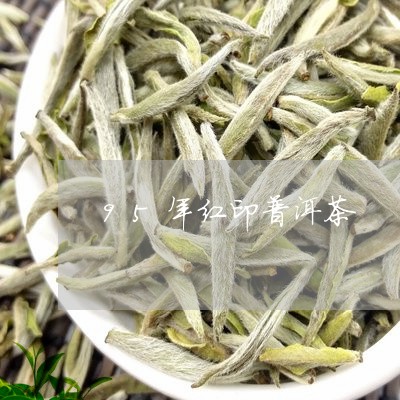 95年红印普洱茶/2023040189251