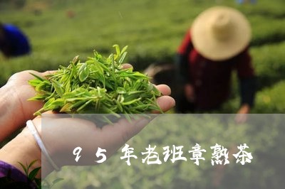 95年老班章熟茶/2023032906270