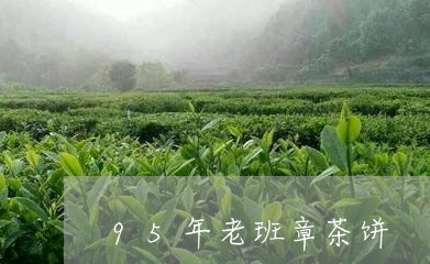 95年老班章茶饼/2023032913060