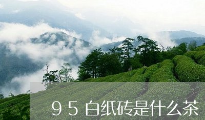 95白纸砖是什么茶/2023031951604