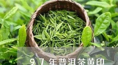 97年普洱茶黄印/2023031837068