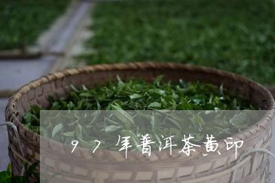 97年普洱茶黄印/2023041330615