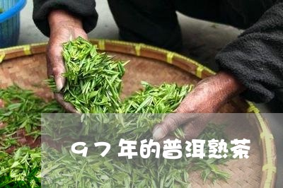 97年的普洱熟茶/2023032917168