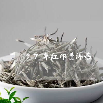 97年红印普洱茶/2023033184037