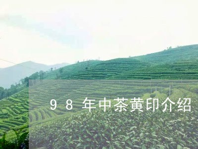 98年中茶黄印介绍/2023032000703