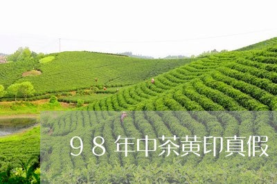 98年中茶黄印真假/2023041604941